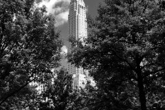 WTC-Memorial-Park